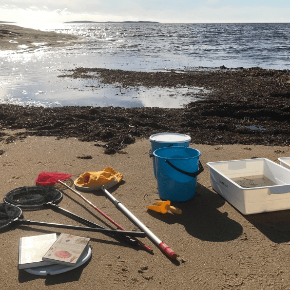 Utrustning för att utforska stranden och havet
