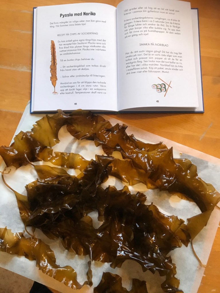 Sockertång som ska bli tångchips