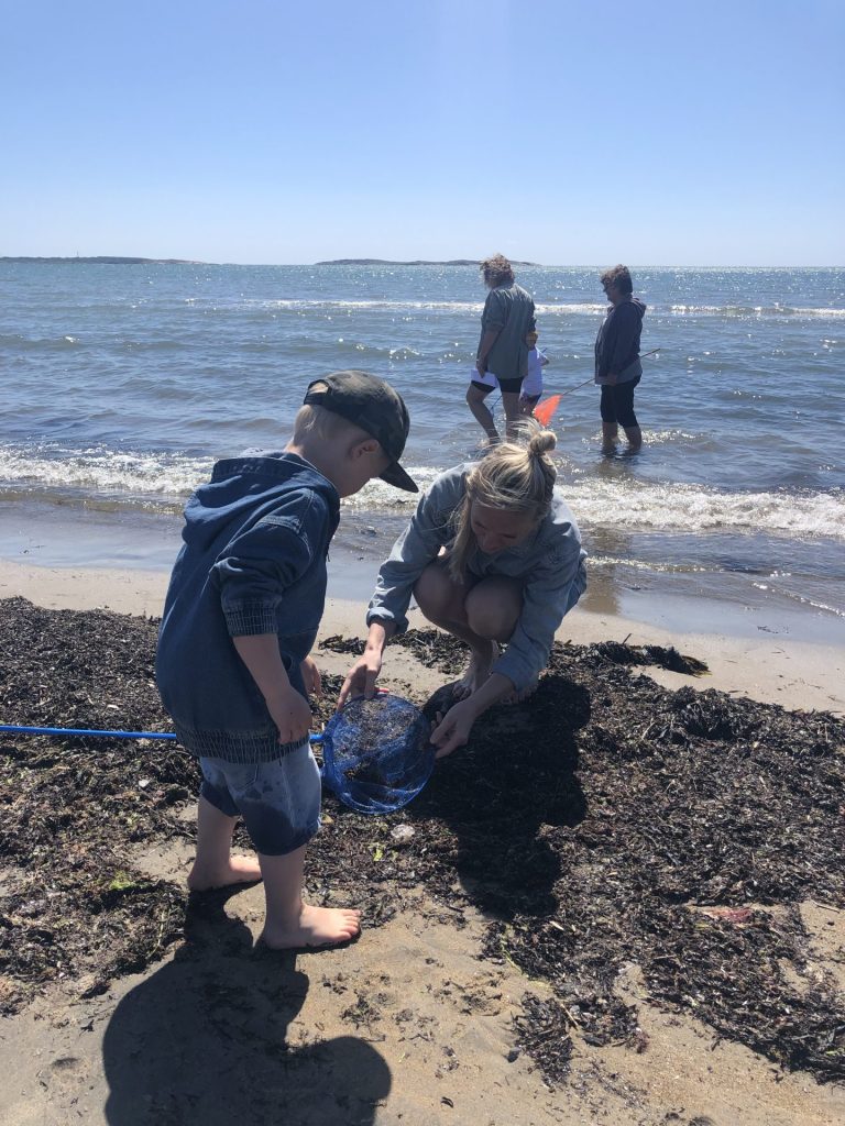 Norikos tångsafari på stranden i Åsa